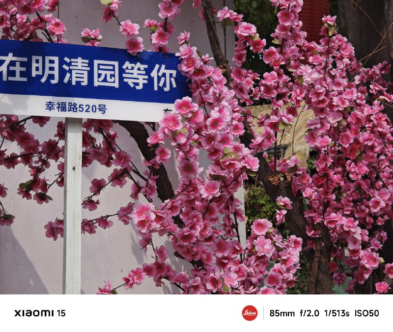 ﹟在“明清园”呆的下午到的时候刚结束了上个演出没看太多 也就在舞台下坐了会儿检票门口是有节目单的---> Tag:#日常 #旅行 #今天去那玩 #明清园﹟在“明清园”呆的下午到的时候刚结束了上个演出没看太多 也就在舞台下坐了会儿检票门口是有节目单的---> Tag:#日常 #旅行 #今天去那玩 #明清园