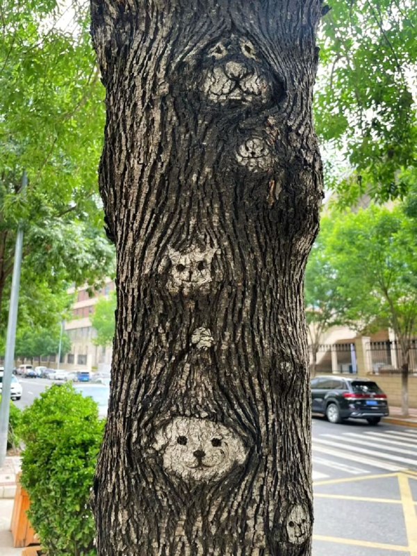 #美图#美图